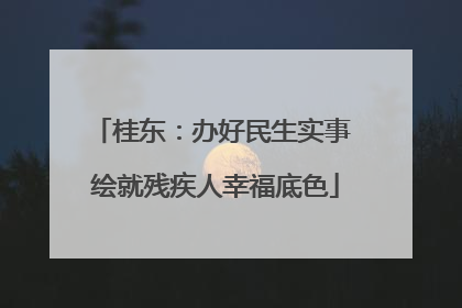 桂东：办好民生实事 绘就残疾人幸福底色