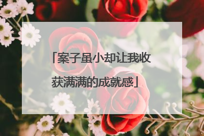 案子虽小却让我收获满满的成就感