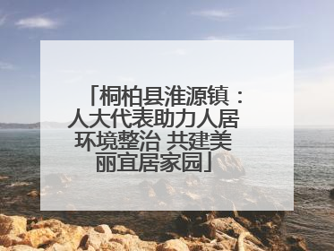 桐柏县淮源镇：人大代表助力人居环境整治 共建美丽宜居家园