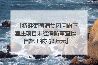桥畔葡萄酒集团因旗下酒庄项目未经消防审查擅自施工被罚3万元