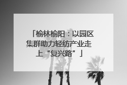 榆林榆阳：以园区集群助力轻纺产业走上“复兴路”