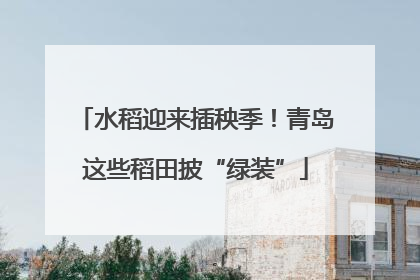 水稻迎来插秧季！青岛这些稻田披“绿装”