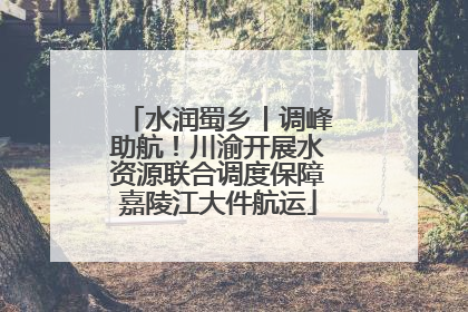水润蜀乡丨调峰助航！川渝开展水资源联合调度保障嘉陵江大件航运