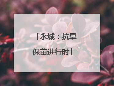 永城：抗旱保苗进行时
