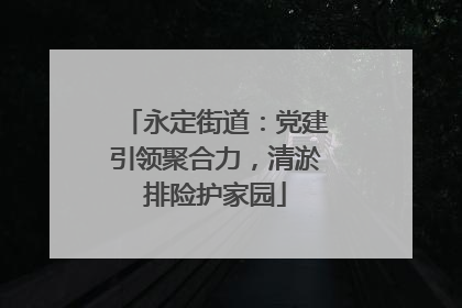 永定街道：党建引领聚合力，清淤排险护家园