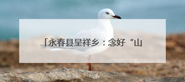 永春县呈祥乡：念好“山海经”奏响“振兴曲”