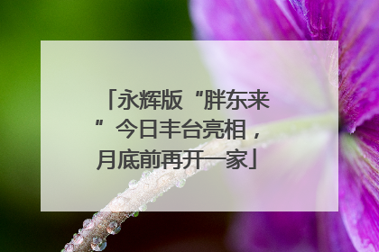 永辉版“胖东来”今日丰台亮相，月底前再开一家