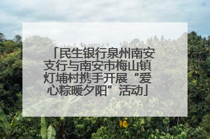 民生银行泉州南安支行与南安市梅山镇灯埔村携手开展“爱心粽暖夕阳”活动