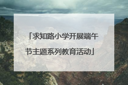 求知路小学开展端午节主题系列教育活动