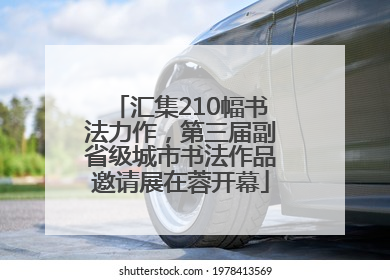汇集210幅书法力作，第三届副省级城市书法作品邀请展在蓉开幕