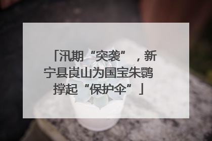 汛期“突袭”，新宁县崀山为国宝朱鹮撑起“保护伞”