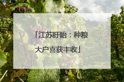 江苏盱眙：种粮大户喜获丰收