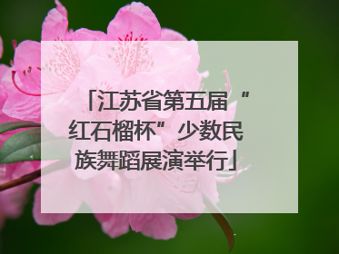 江苏省第五届“红石榴杯”少数民族舞蹈展演举行