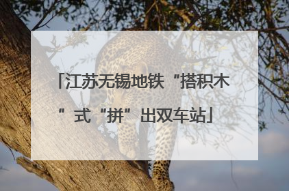 江苏无锡地铁“搭积木”式“拼”出双车站