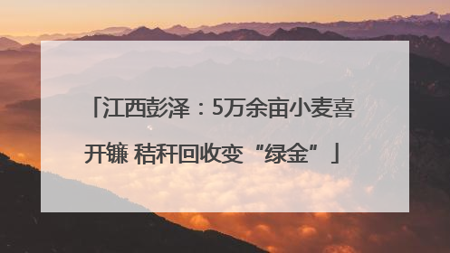 江西彭泽：5万余亩小麦喜开镰 秸秆回收变“绿金”