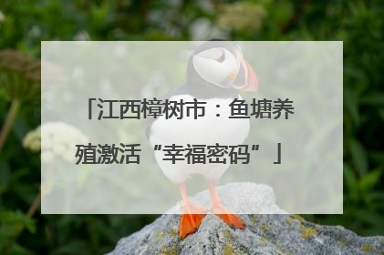 江西樟树市：鱼塘养殖激活“幸福密码”