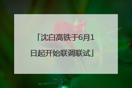 沈白高铁于6月1日起开始联调联试