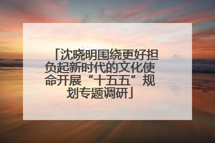 沈晓明围绕更好担负起新时代的文化使命开展“十五五”规划专题调研