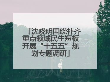 沈晓明围绕补齐重点领域民生短板开展“十五五”规划专题调研