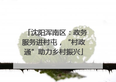 沈阳浑南区：政务服务进村屯，“村政通”助力乡村振兴