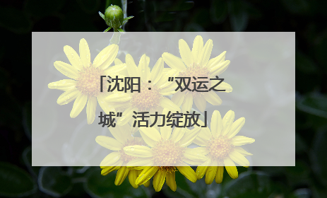 沈阳：“双运之城”活力绽放