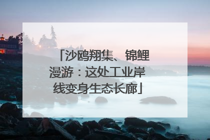 沙鸥翔集、锦鲤漫游：这处工业岸线变身生态长廊