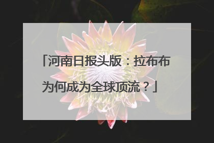河南日报头版：拉布布为何成为全球顶流？