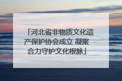 河北省非物质文化遗产保护协会成立 凝聚合力守护文化根脉