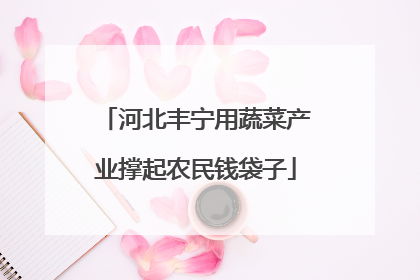河北丰宁用蔬菜产业撑起农民钱袋子