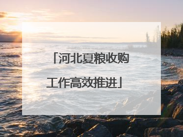 河北夏粮收购工作高效推进