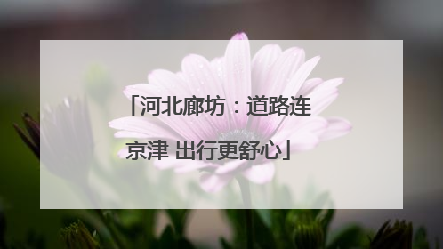 河北廊坊：道路连京津 出行更舒心