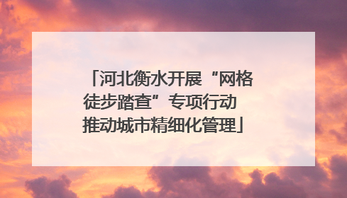 河北衡水开展“网格徒步踏查”专项行动 推动城市精细化管理