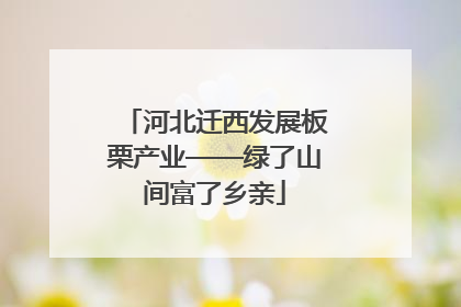 河北迁西发展板栗产业——绿了山间富了乡亲