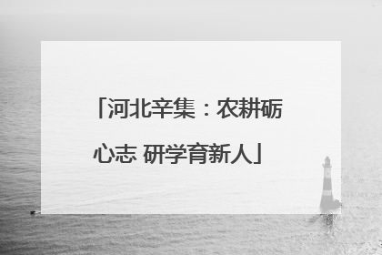 河北辛集：农耕砺心志 研学育新人