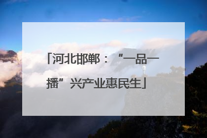 河北邯郸：“一品一播”兴产业惠民生