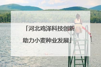 河北鸡泽科技创新助力小麦种业发展