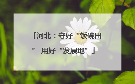 河北：守好“饭碗田” 用好“发展地”