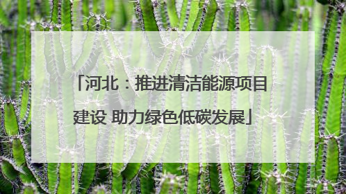 河北：推进清洁能源项目建设 助力绿色低碳发展