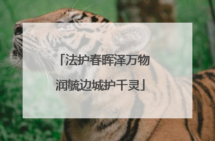 法护春晖泽万物 润毓边城护千灵