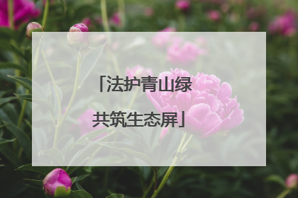 法护青山绿 共筑生态屏