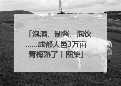 泡酒、制酱、泡饮……成都大邑3万亩青梅熟了丨图集