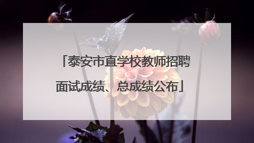 泰安市直学校教师招聘面试成绩、总成绩公布