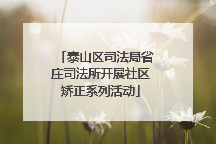 泰山区司法局省庄司法所开展社区矫正系列活动