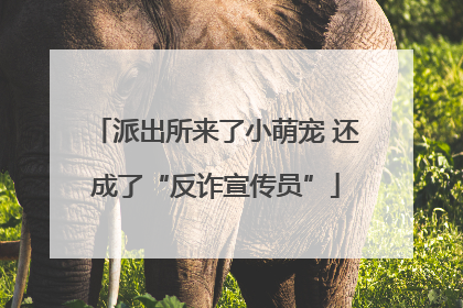 派出所来了小萌宠 还成了“反诈宣传员”