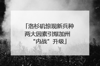 洛杉矶惊现新兵种 两大因素引爆加州“内战”升级