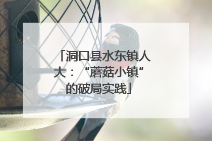 洞口县水东镇人大：“蘑菇小镇”的破局实践