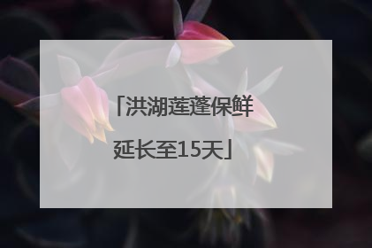 洪湖莲蓬保鲜延长至15天