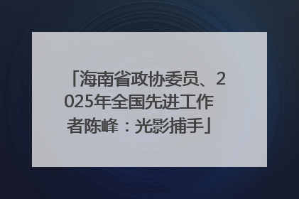 海南省政协委员、2025年全国先进工作者陈峰：光影捕手