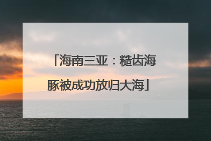 海南三亚：糙齿海豚被成功放归大海