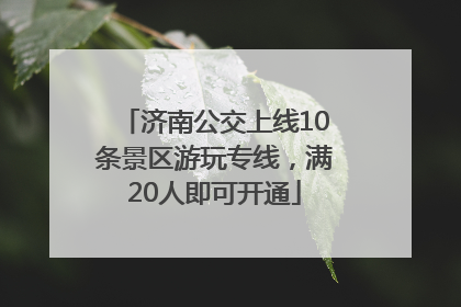 济南公交上线10条景区游玩专线，满20人即可开通
